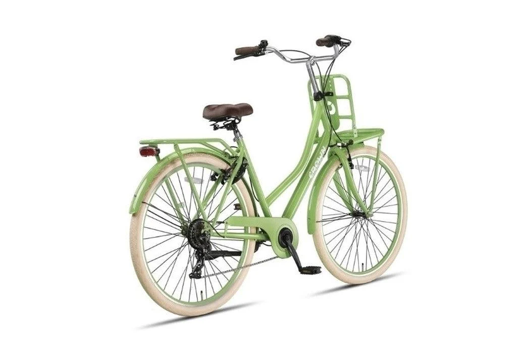 Berlin Transportfiets Salie Groen - Image 3