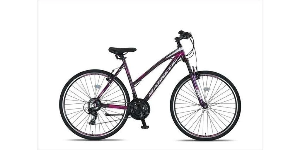 Altec Magnetic Trekking Dames Gray/Pink