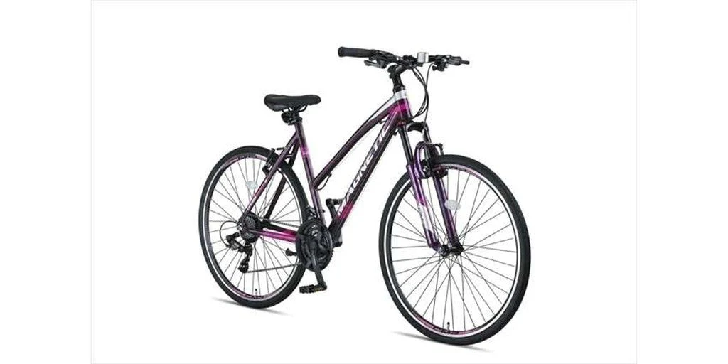 Altec Magnetic Trekking Dames Gray/Pink - Image 3
