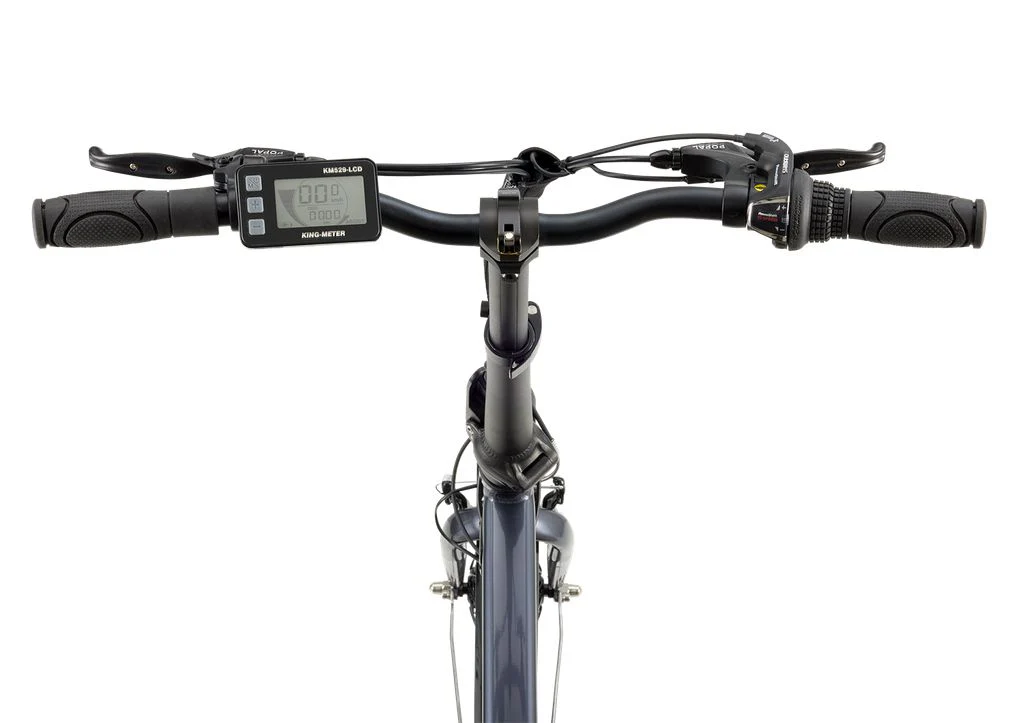 E-Folt 2.0 E-Bike Silver - Image 4