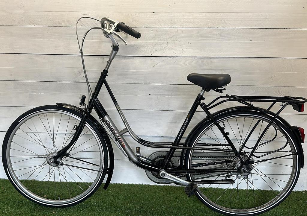 Gazelle Solide - Image 2